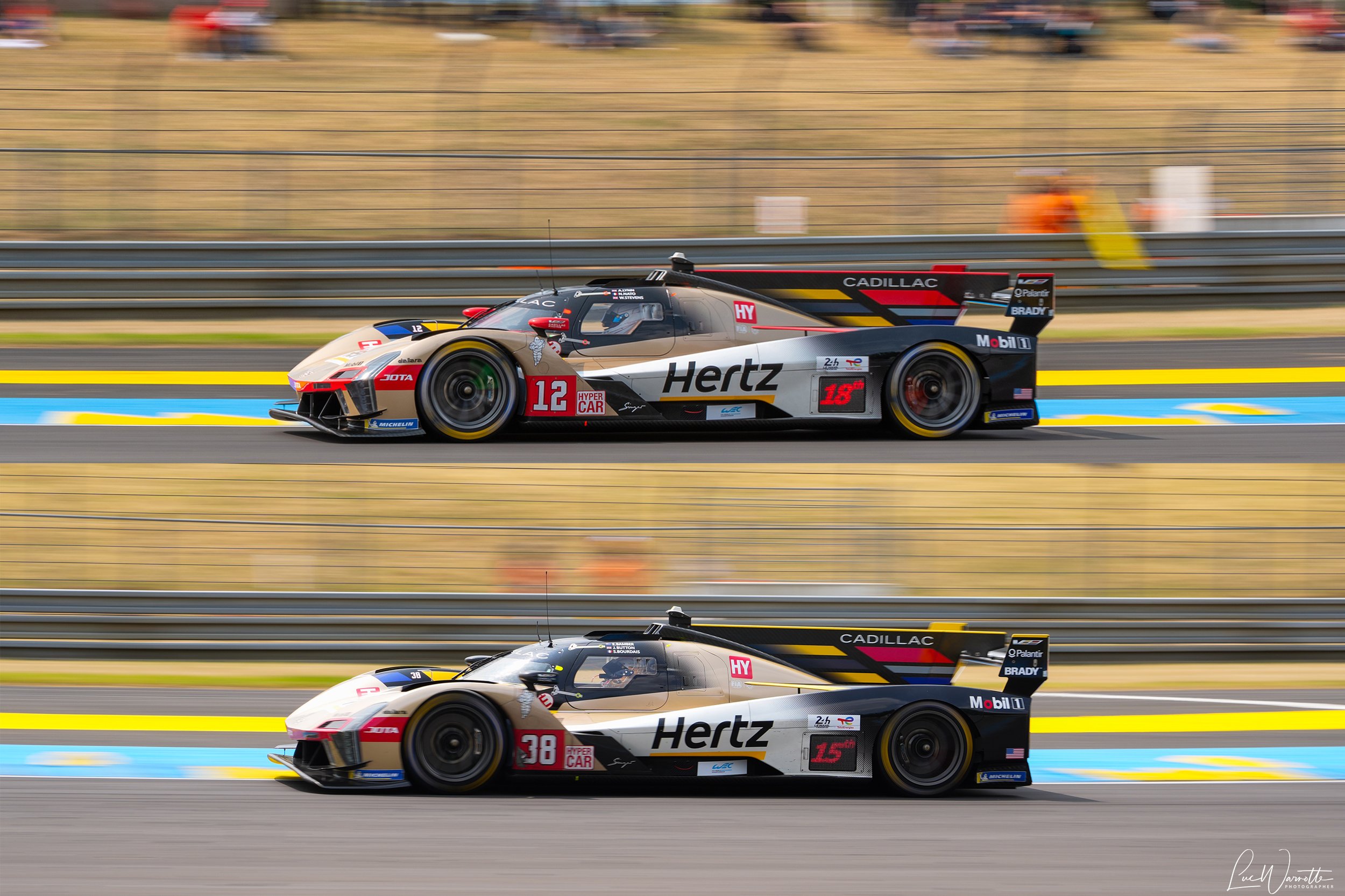 【激レア/非売品】Hertz Team JOTA×Cadillac ポロシャツM Cadillac Hertz Team Jota – Page 2 – Grandstand Merchandise